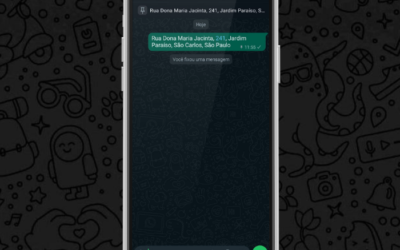 WhatsApp: Permite fixar mensagens no topo das conversas!
